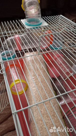 Клетка для хомяка