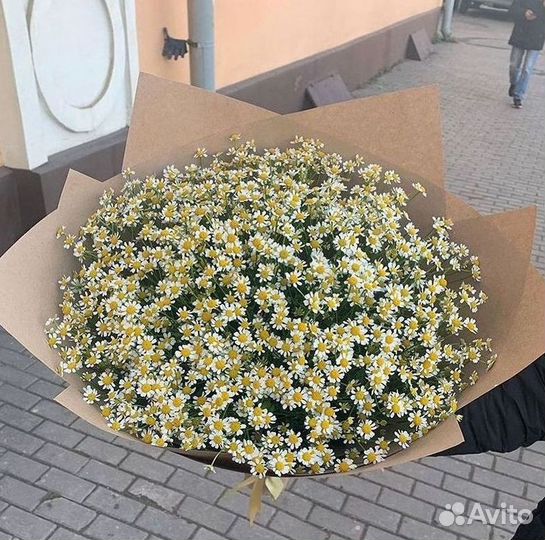 Букеты. Доставка ромашек