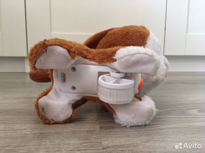 Щенок на поводке