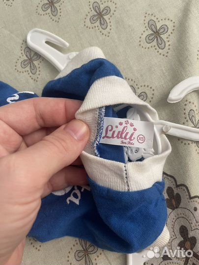 Майка для котенка или мелкой собачки XS