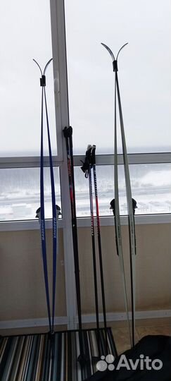 Беговые лыжи madshus и fischer, с палками и чехлом