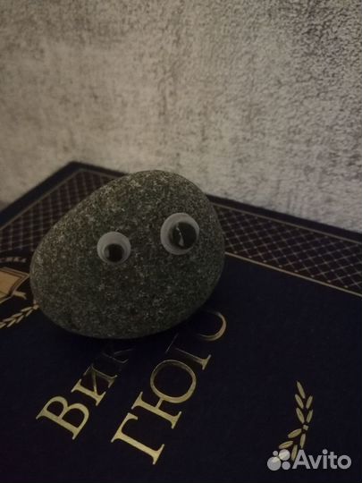 Камень питомец