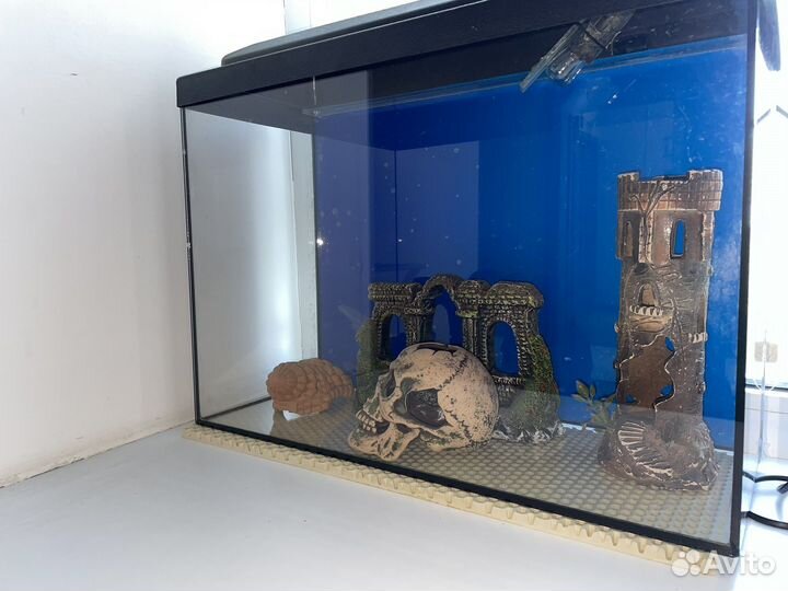 Аквариум