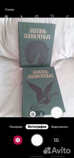 Книжки