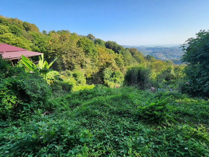 Участок 4 сот. (СНТ, ДНП)