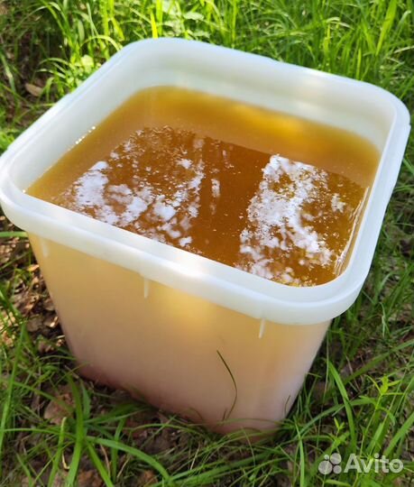 Опт мёд натуральный Алтайский min 16kg