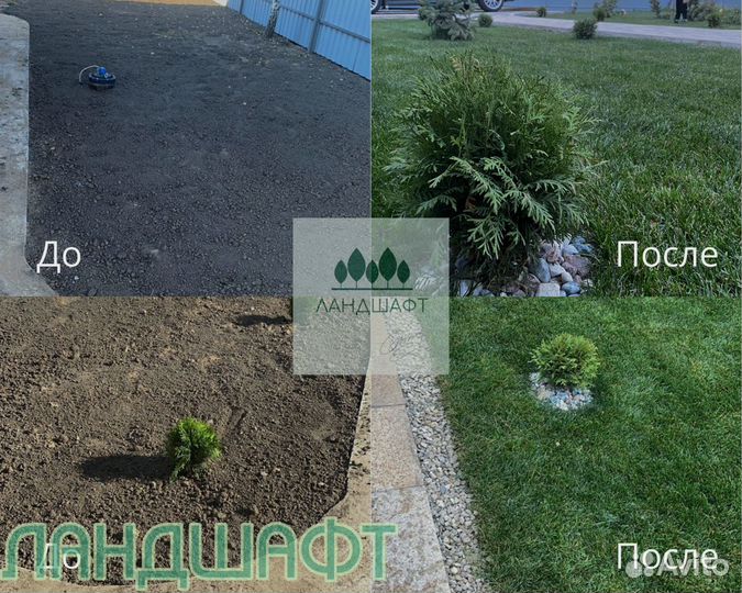 Спортивный рулонный газон с поля мо