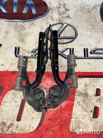 Петля капота передняя Citroen C4 2 EP6C 2012