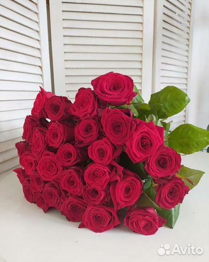 Букет роз 29шт 60см