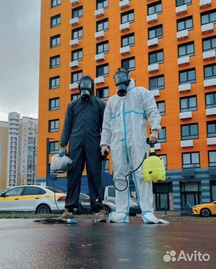 Уничтожение клопов и тараканов дезинфекция