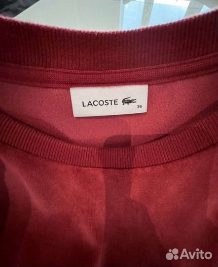 Свитшот lacoste