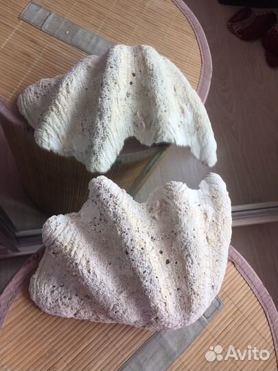 Для аквариума