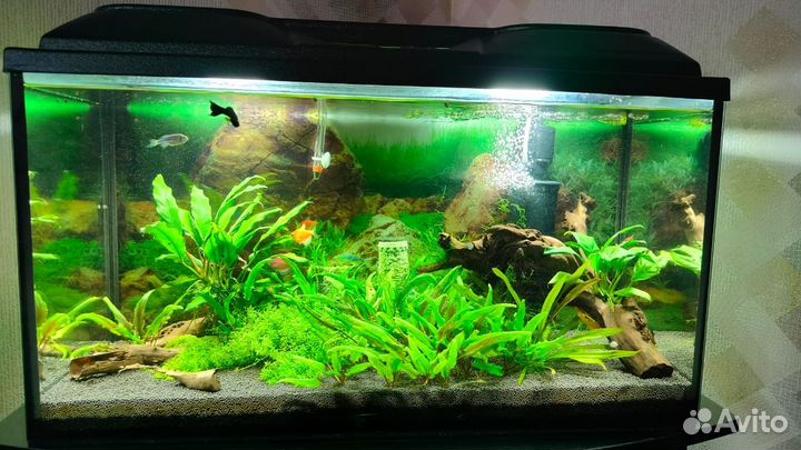 Аквариум с тумбой