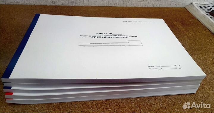 Книга учета форма10, 100 л, мягкая обложка