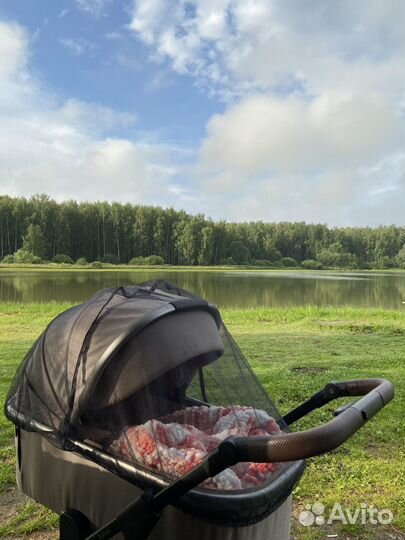 Коляска carello aurora 3 в 1