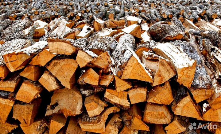 Дрова Береза