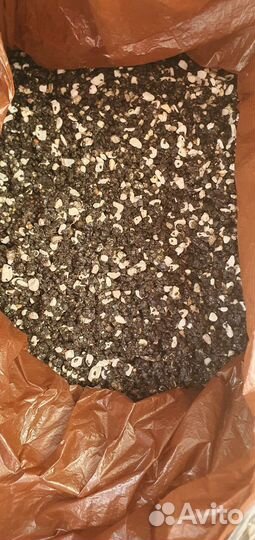 Чёрный грунт