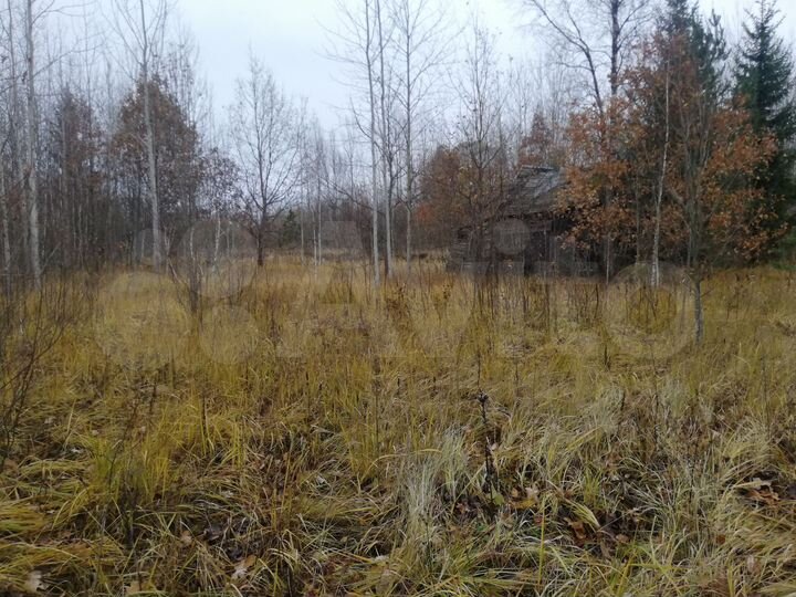 Участок 15 сот. (СНТ, ДНП)