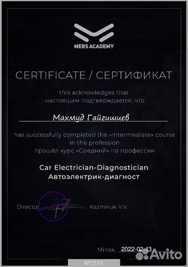 Автоэлектрик диагност