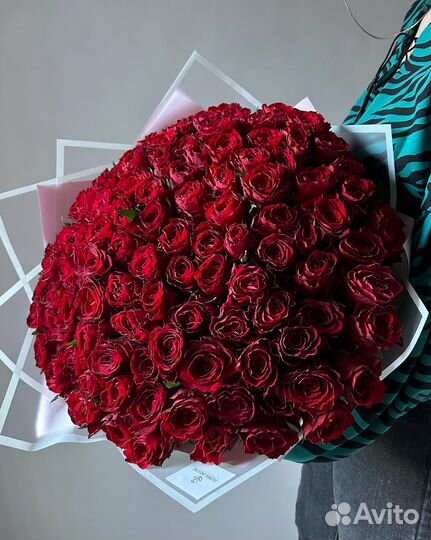 101 красная роза