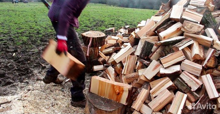 Дрова с Приозерска