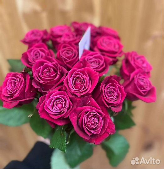 Роза букет 25 шт. Голландия Свежая