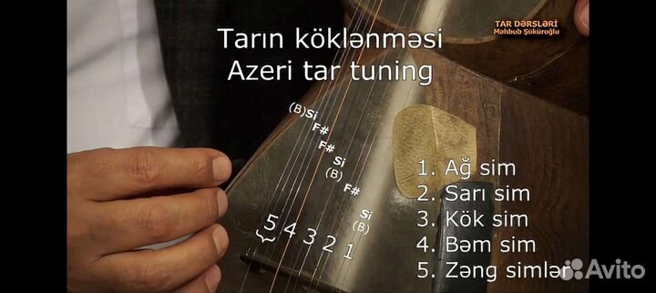 Струны на тар