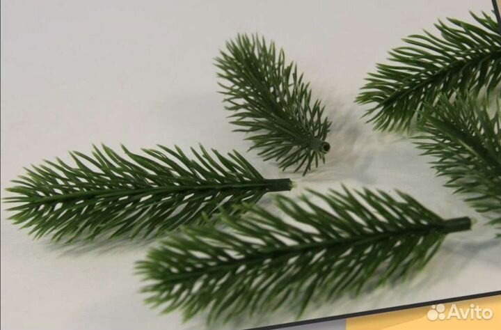 Еловая ветка