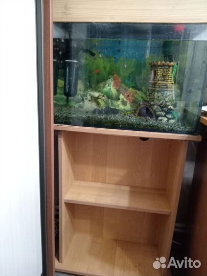 Аквариум