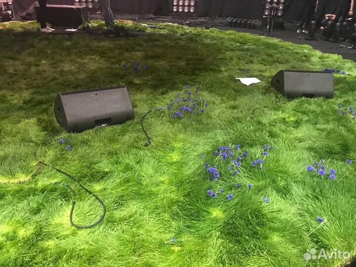 Быстрый газон. Пророщенный овес. Зелень для декора