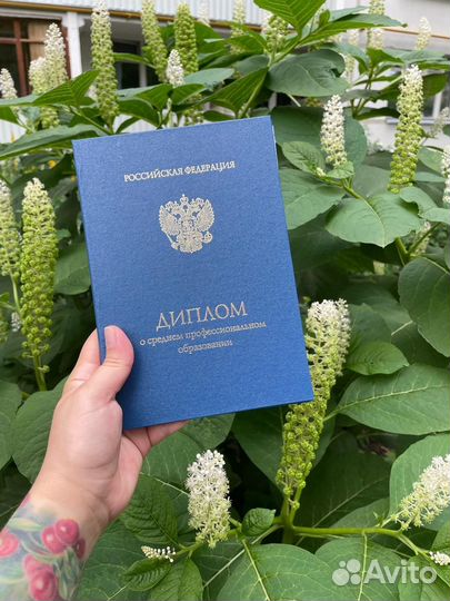 Курсовая Дипломная вкр Магистерская