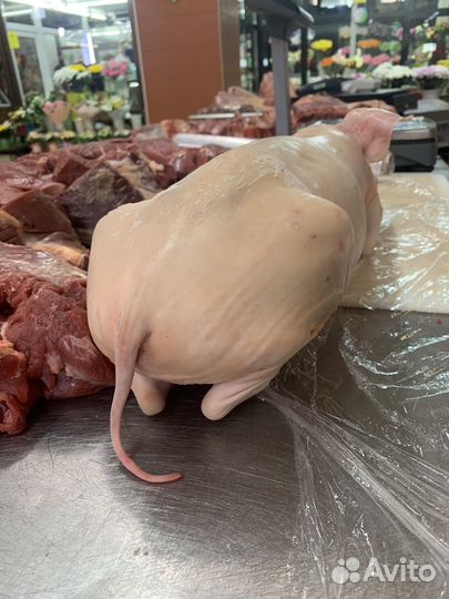 Молочные поросята