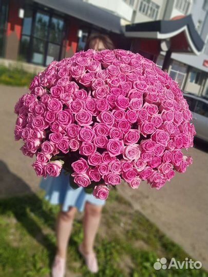 Цветы розовые розы