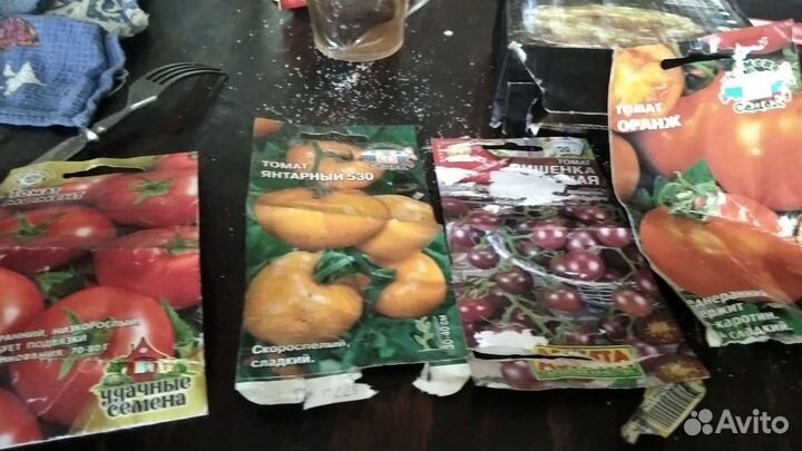 Рассада помидоров томатов