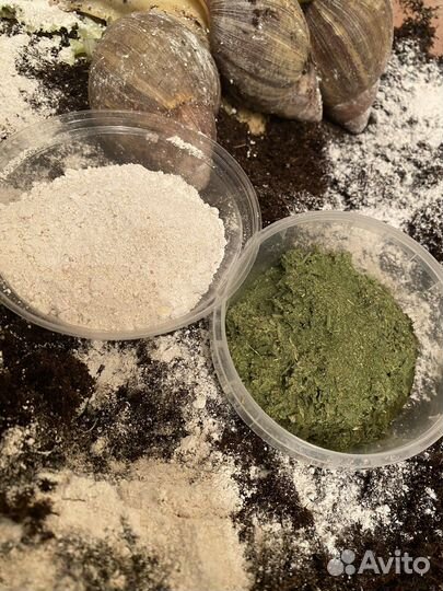 Травосмесь для улиток