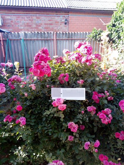 Дом 50 м² на участке 4 сот.