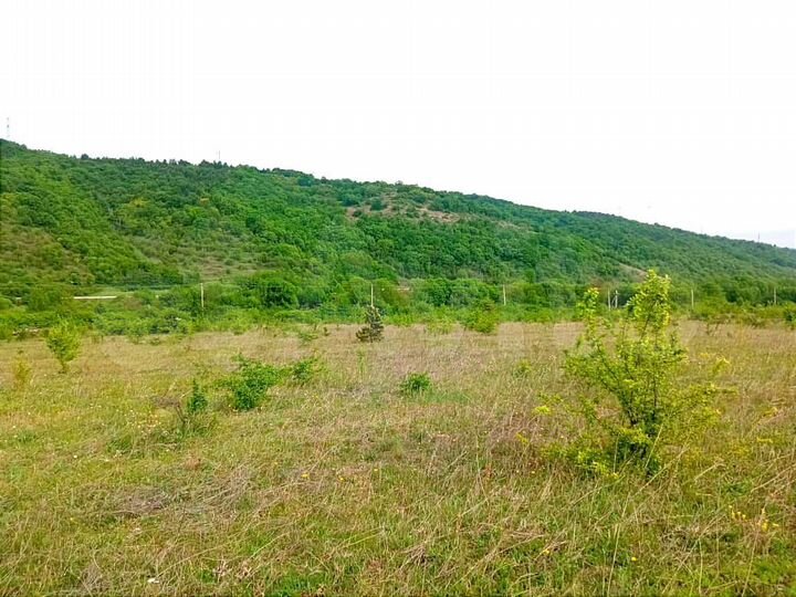 Участок 10 сот. (СНТ, ДНП)