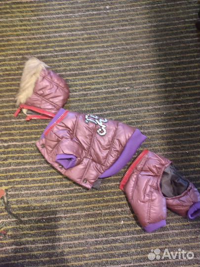 Комбинезон для маленькой собачки