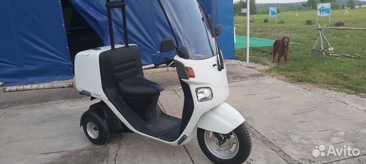 Скутер Honda Gyro Canopy