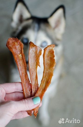 Лакомства (вкусняшки) для собак и кошек