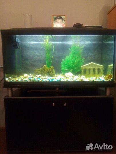 Аквариум