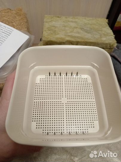 Набор для выращивания микрозелени