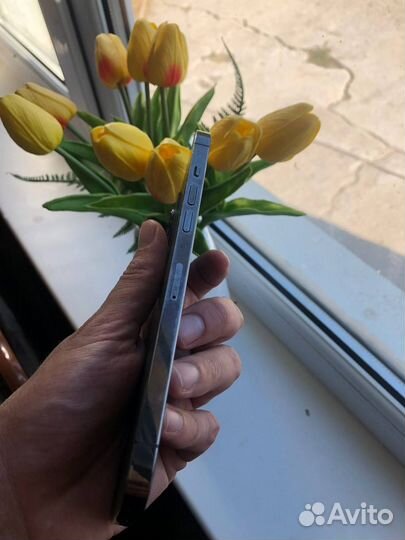 iPhone 12 Pro Max, 128 ГБ