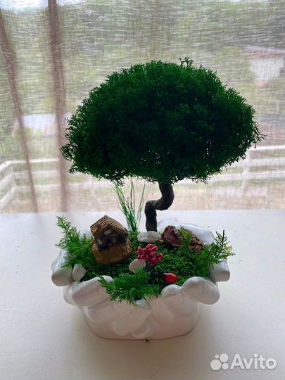 Флорариум Моссариум