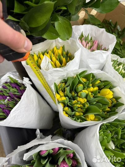 Тюльпаны с доставкой
