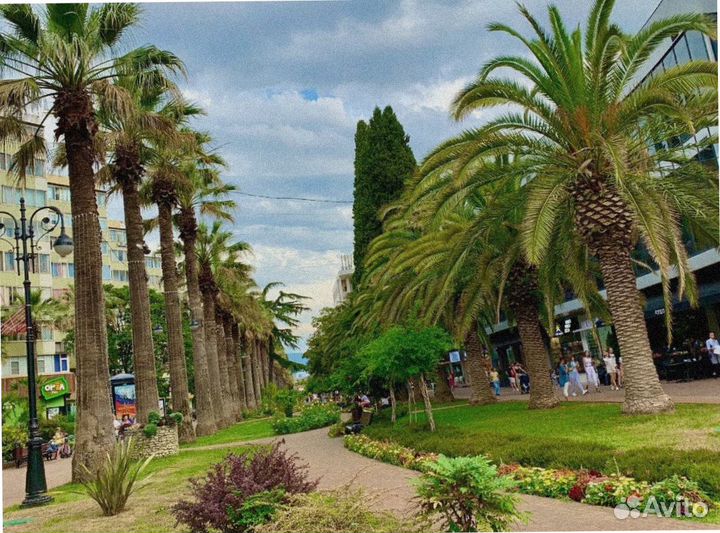 Турпутевка льготная Сочи многодетным семьям