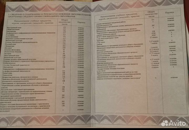 Логопед, Репетитор начальных классов