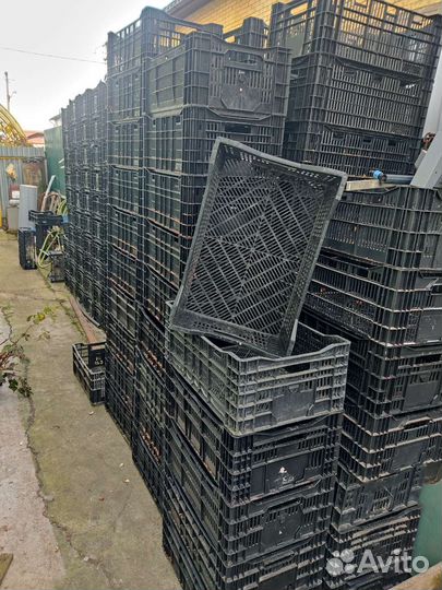 Пластиковые ящики для овощей бу