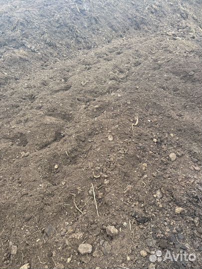 Навоз (перегной ) Чернозём