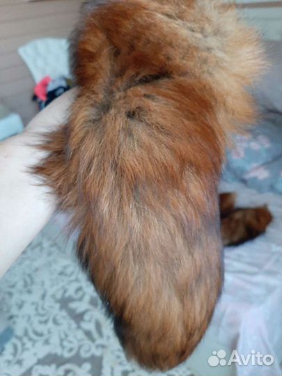 Продам хвосты лисы сибирской огневки